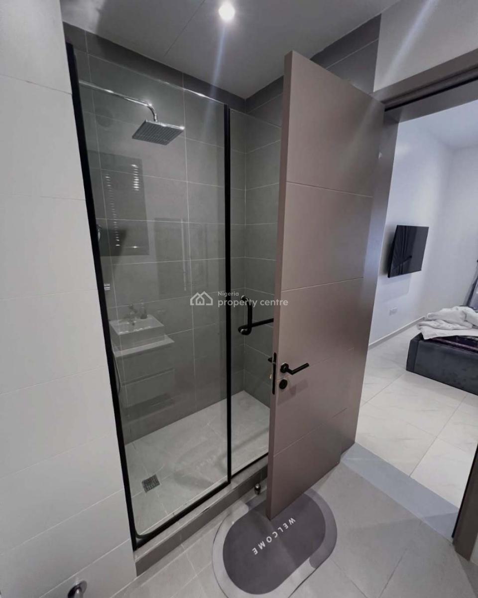 Fully Serviced Executive 2 Bedroom Apartment, Ikoyi, Lagos, Flat / Apartment for Rent