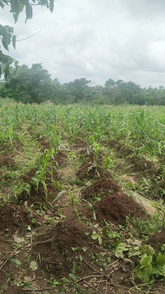 2 Acres at Monastery Road Sangotedo, Monastery Road Sangotedo, Sangotedo, Ajah, Lagos, Mixed-use Land for Sale