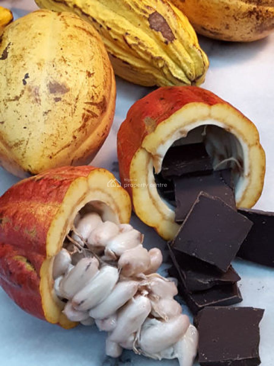Sweet Deals on Cocoa for Smart Investors, Buy an Acre+400  Seeds,we Farm While You Earn,cocoa Republic, Obafemi Owode, Ogun, Commercial Land for Sale