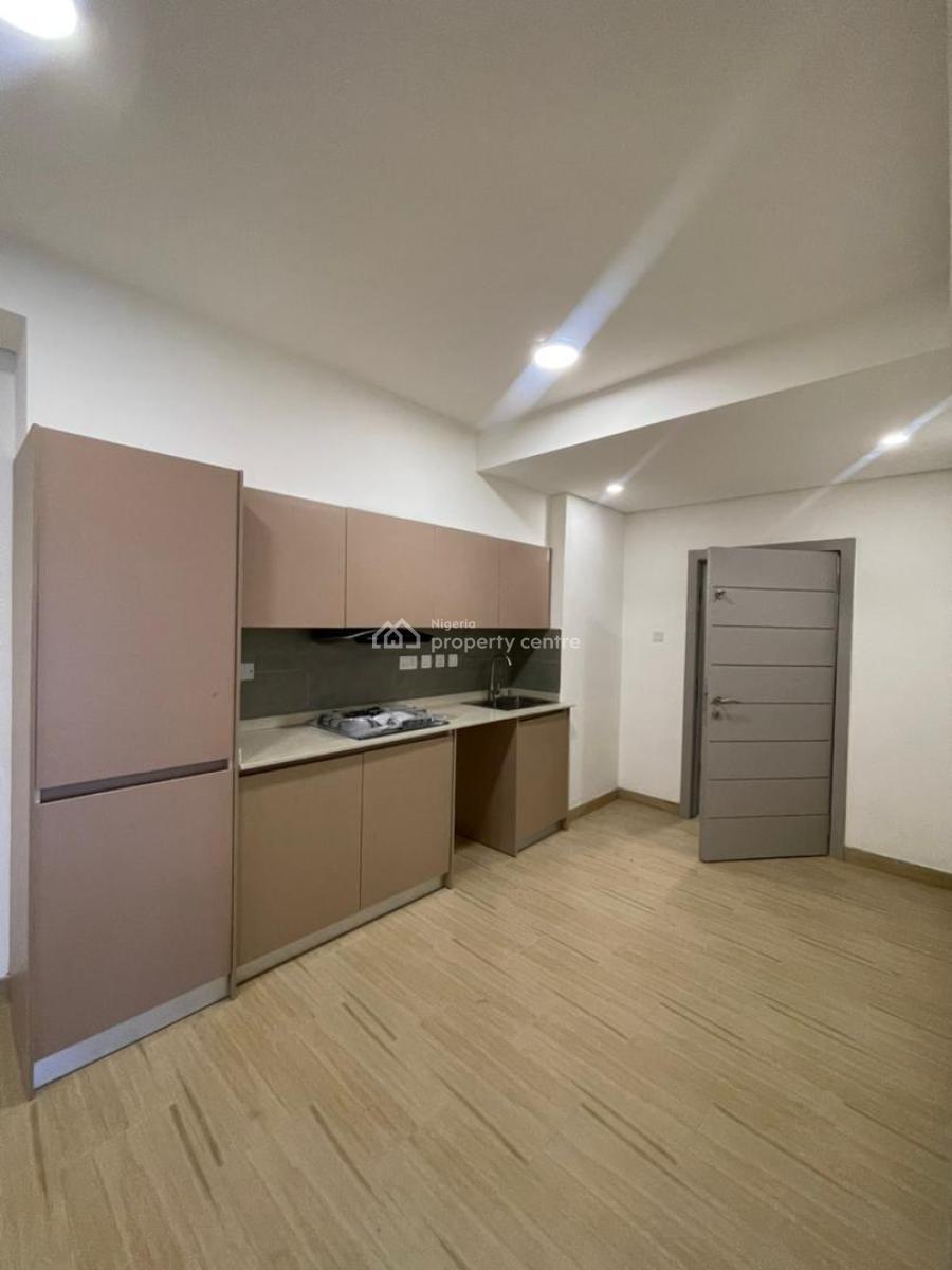Luxurious 2 Bedroom Apartment, Ikate, Lekki Phase 1, Lekki, Lagos, Flat / Apartment for Rent