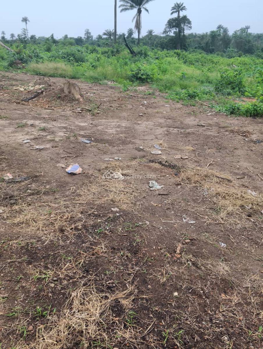 a Residential Land of 1000sqm, Ibile Resort City, Imota, Imota, Ikorodu, Lagos, Residential Land for Sale