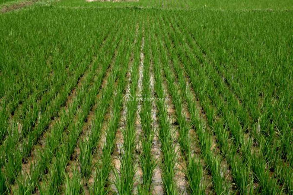 Land, Price Inclusive of of Cultivation and Harvest Fee., Ado-odo/ota, Ogun, Land for Sale