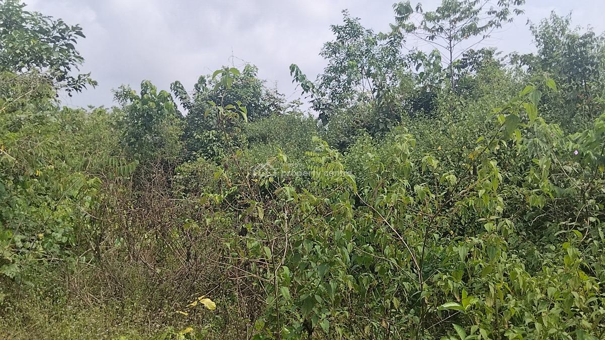 Land with Government Approved Excision, Peace Abode Estate , Behind, Lekki Free Trade Zone, Lekki, Lagos, Residential Land for Sale