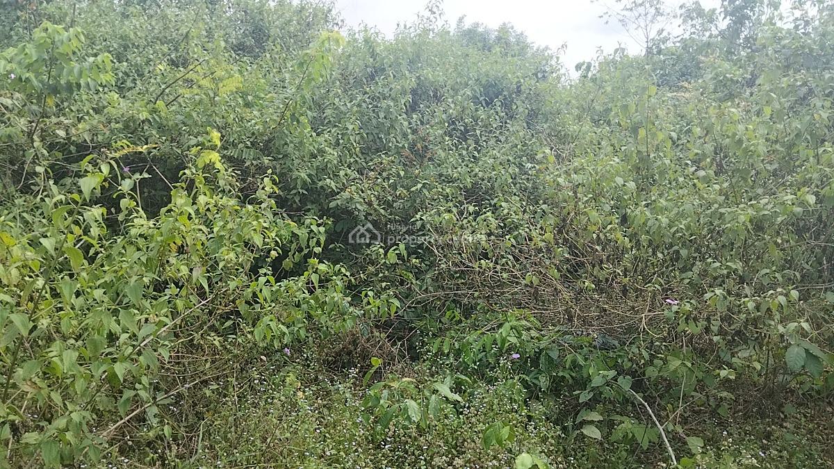 Land with Government Approved Excision, Peace Abode Estate , Behind, Lekki Free Trade Zone, Lekki, Lagos, Residential Land for Sale