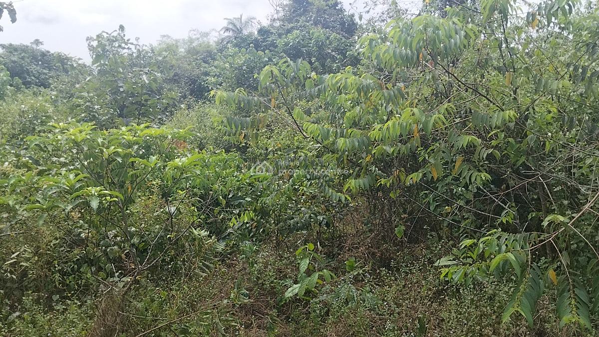 Land with Government Approved Excision, Peace Abode Estate , Behind, Lekki Free Trade Zone, Lekki, Lagos, Residential Land for Sale