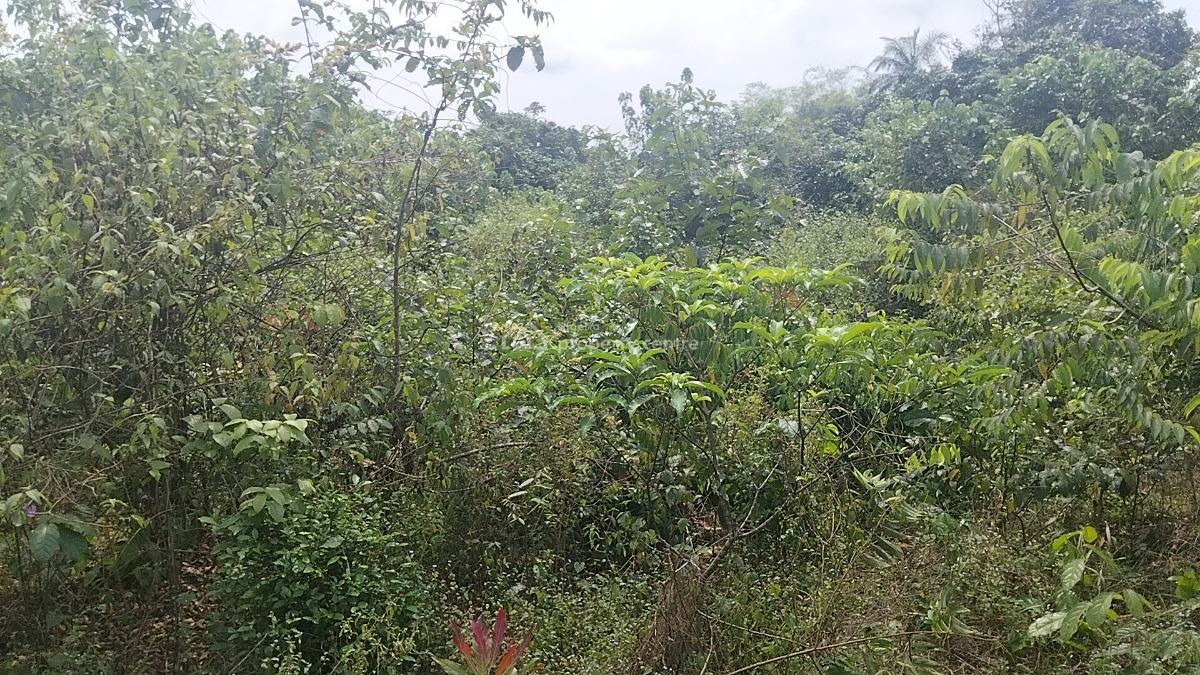 Land with Government Approved Excision, Peace Abode Estate , Behind, Lekki Free Trade Zone, Lekki, Lagos, Residential Land for Sale