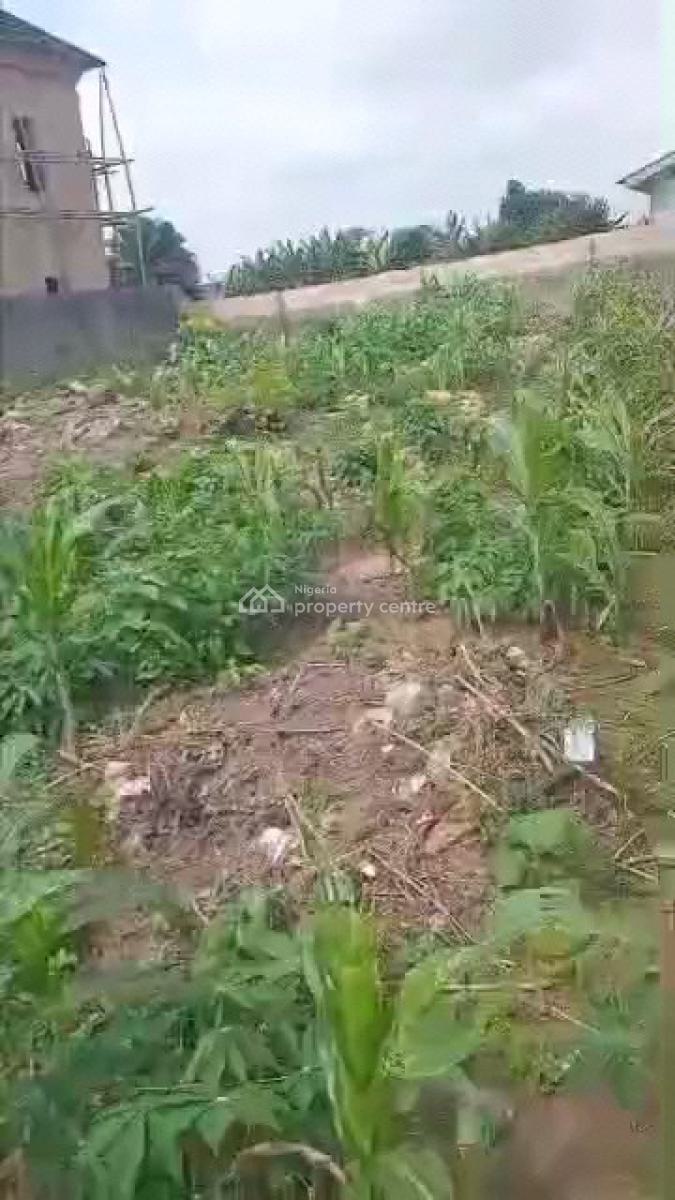 Fenced & Productive Quarter Plot of Land, Ishefun, Ayobo, Lagos, Residential Land for Sale