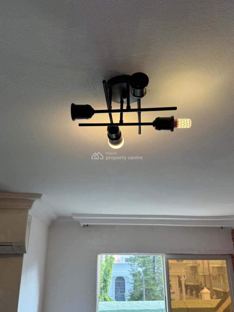 Newly Renovated Furnished Serviced Mini Flat with Personal Rooftop, Parkview Estate, Ikoyi, Lagos, Flat / Apartment for Rent