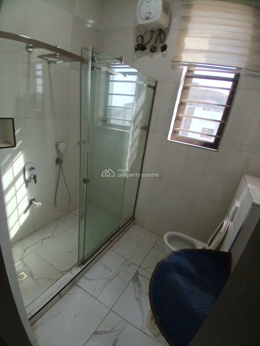 Furnished 5 Bedroom Detached Duplex with 1room Bq, Asokoro Abuja Diplomatic Zone, Asokoro District, Abuja, Detached Duplex for Rent