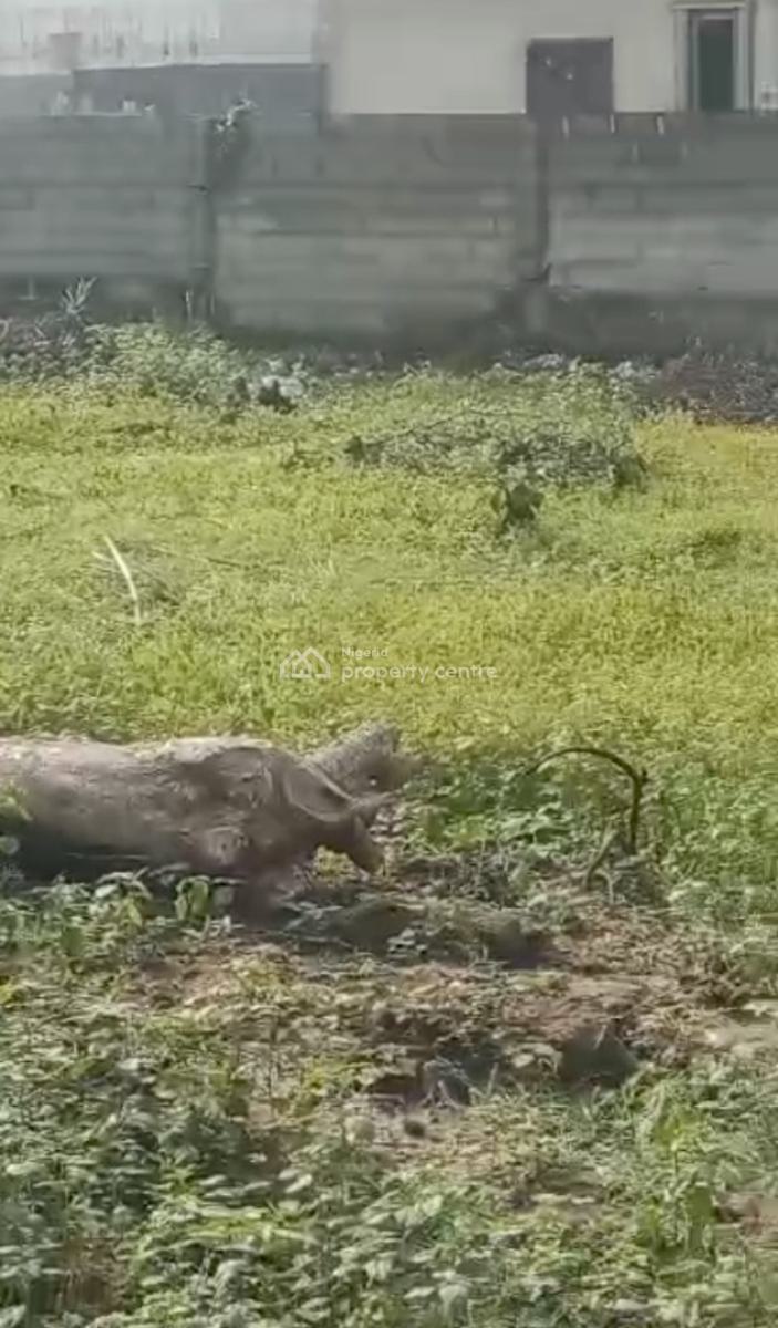 Fence and Gated 4plots of Dry Buy and Build Land, Behind Eleganza, Close to Eleko Junction, Ibeju Lekki, Lagos, Residential Land for Sale