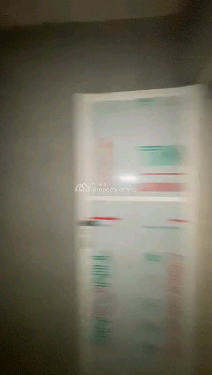 2 Nos of Standard and Executive Mini Flat Bungalow, Adegbenro Street Off Yetunde Brown, Ifako, Gbagada, Lagos, Detached Bungalow for Rent