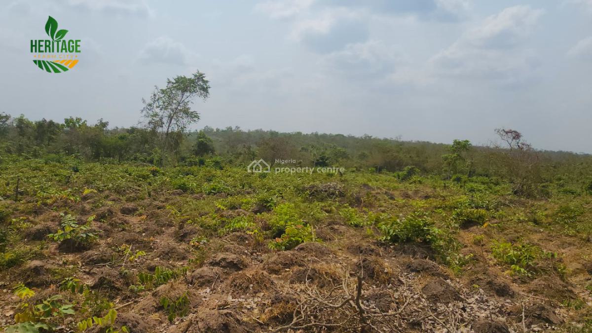 Land, Large Fertile Land with 4 Different Cash Crop Option&roi of About 20m, Odeda, Ogun, Land for Sale
