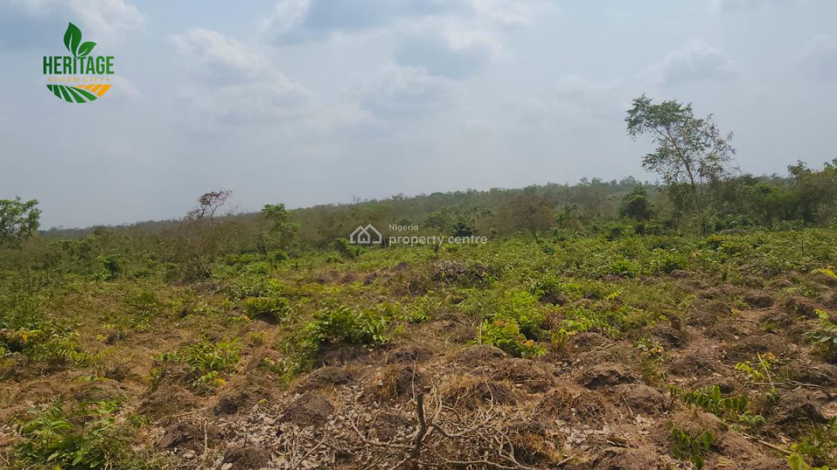 Land, Large Fertile Land with 4 Different Cash Crop Option&roi of About 20m, Odeda, Ogun, Land for Sale