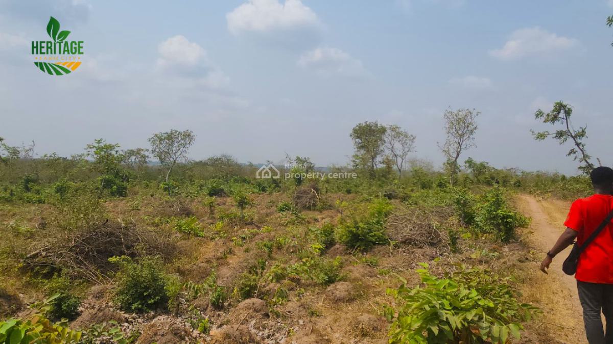 Land, Large Fertile Land with 4 Different Cash Crop Option&roi of About 20m, Odeda, Ogun, Land for Sale