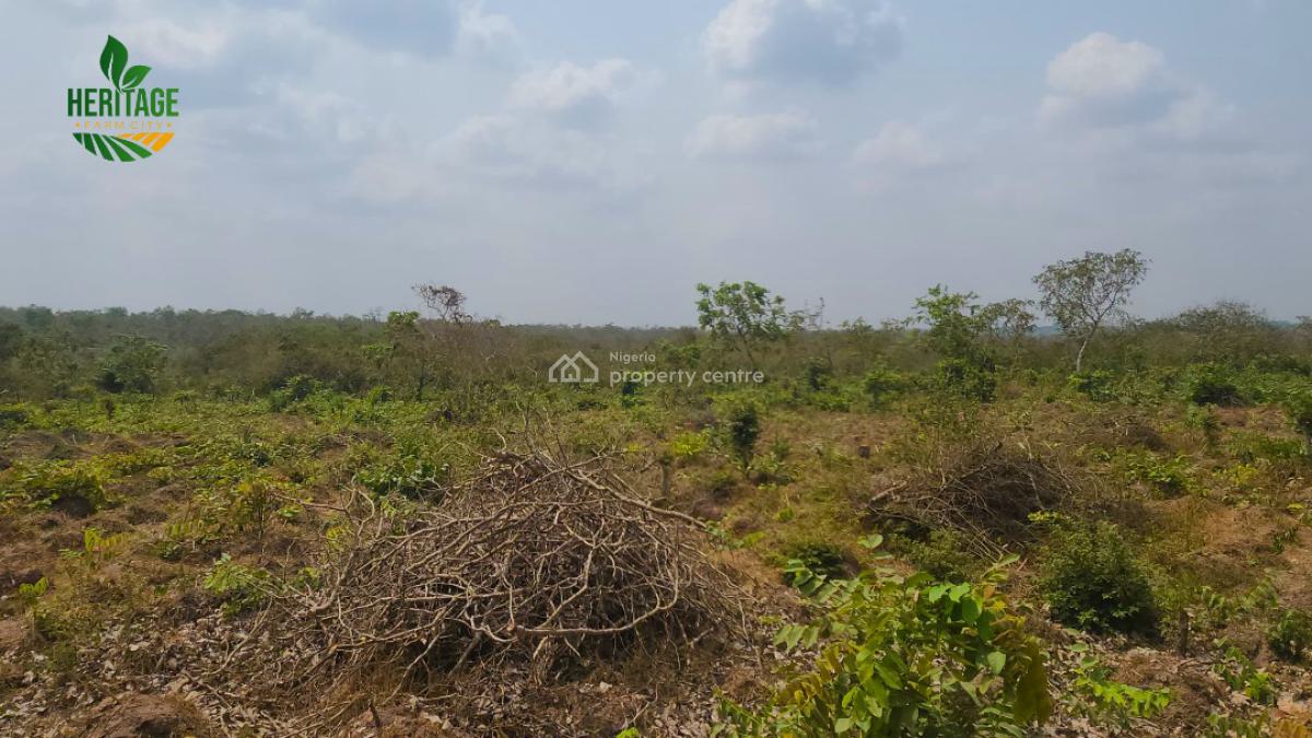 Land, Large Fertile Land with 4 Different Cash Crop Option&roi of About 20m, Odeda, Ogun, Land for Sale