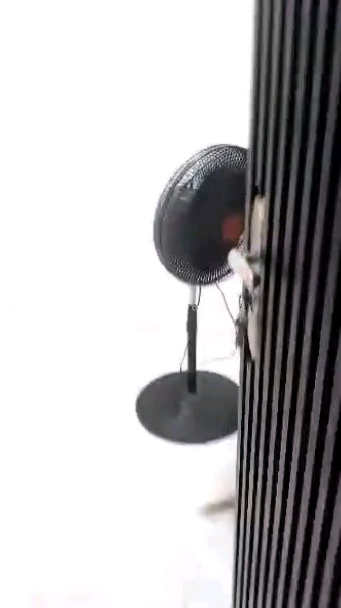 Standard and Spacious Mini Flat Pop , Water Heater, Akiode Opposite Omole Phase 1, Magodo, Lagos, Mini Flat (room and Parlour) for Rent