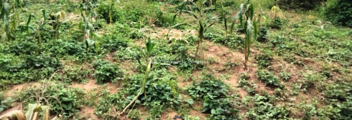 10.7 Hectares  Land, Guzape District, Abuja, Mixed-use Land for Sale