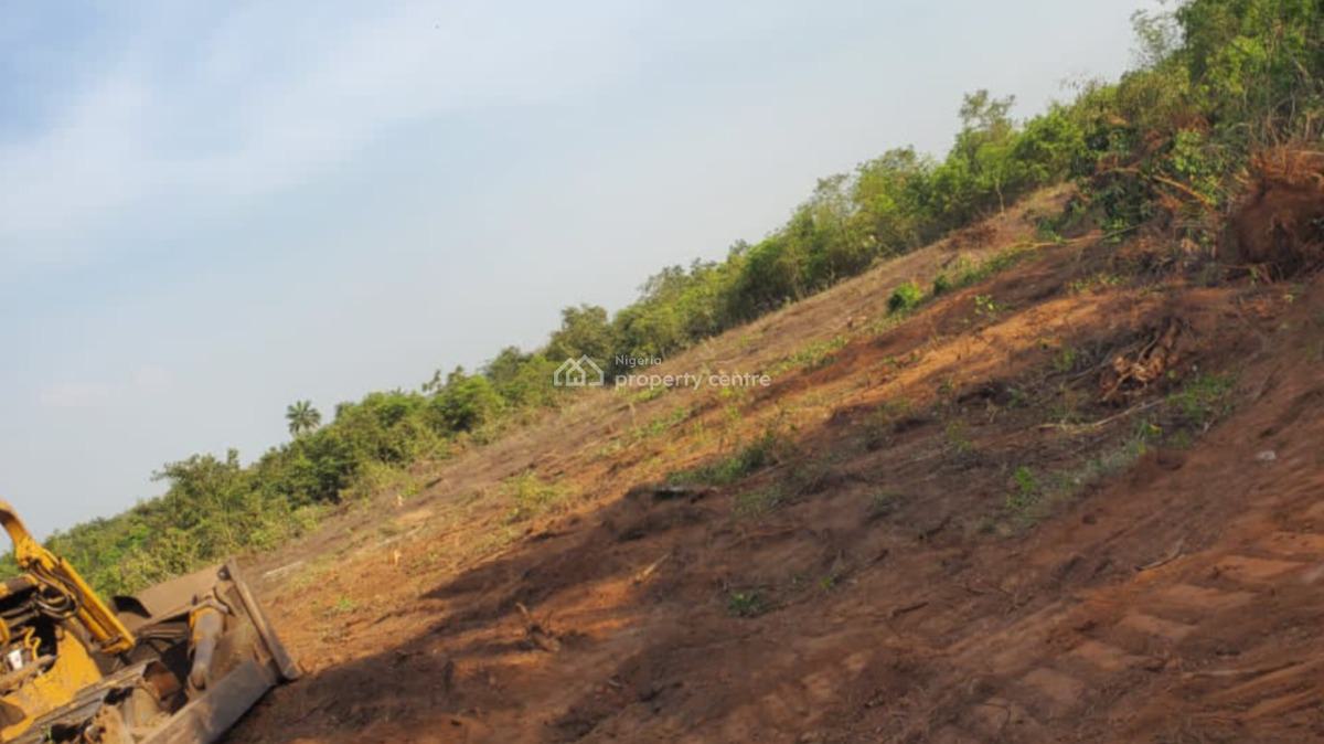 Farmland, Alabata, Abeokuta South, Ogun, Commercial Land for Sale