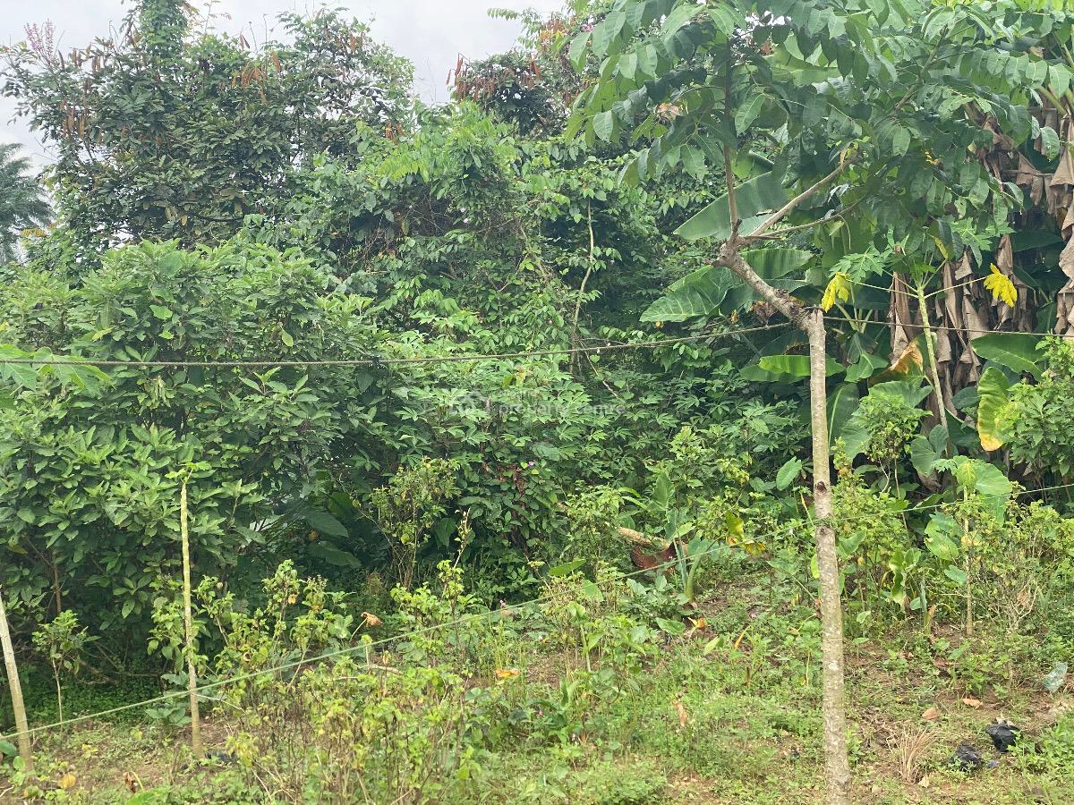 Well Located and Table Dry 60 Plots of Land, East West Road, Rumuokoro, Port Harcourt, Rivers, Mixed-use Land for Sale