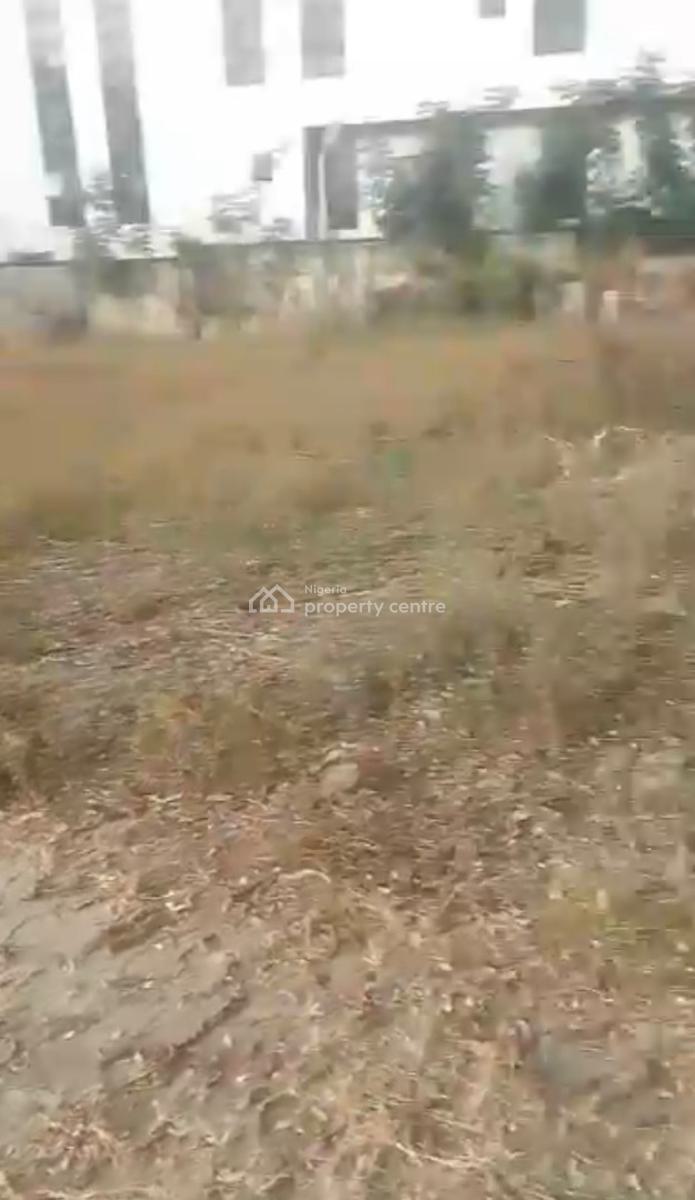 2,400sqm, Residential Land with C of O, Asokoro Main, Asokoro District, Abuja, Residential Land for Sale