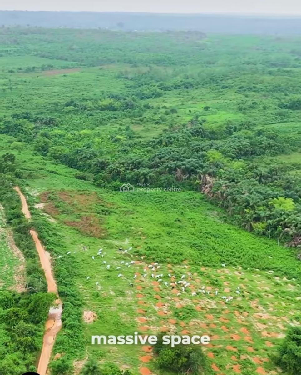 Farm Land, Ilewo-orile, Abeokuta North, Ogun, Mixed-use Land for Sale