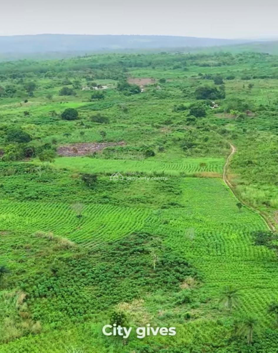 Farm Land, Ilewo-orile, Abeokuta North, Ogun, Mixed-use Land for Sale