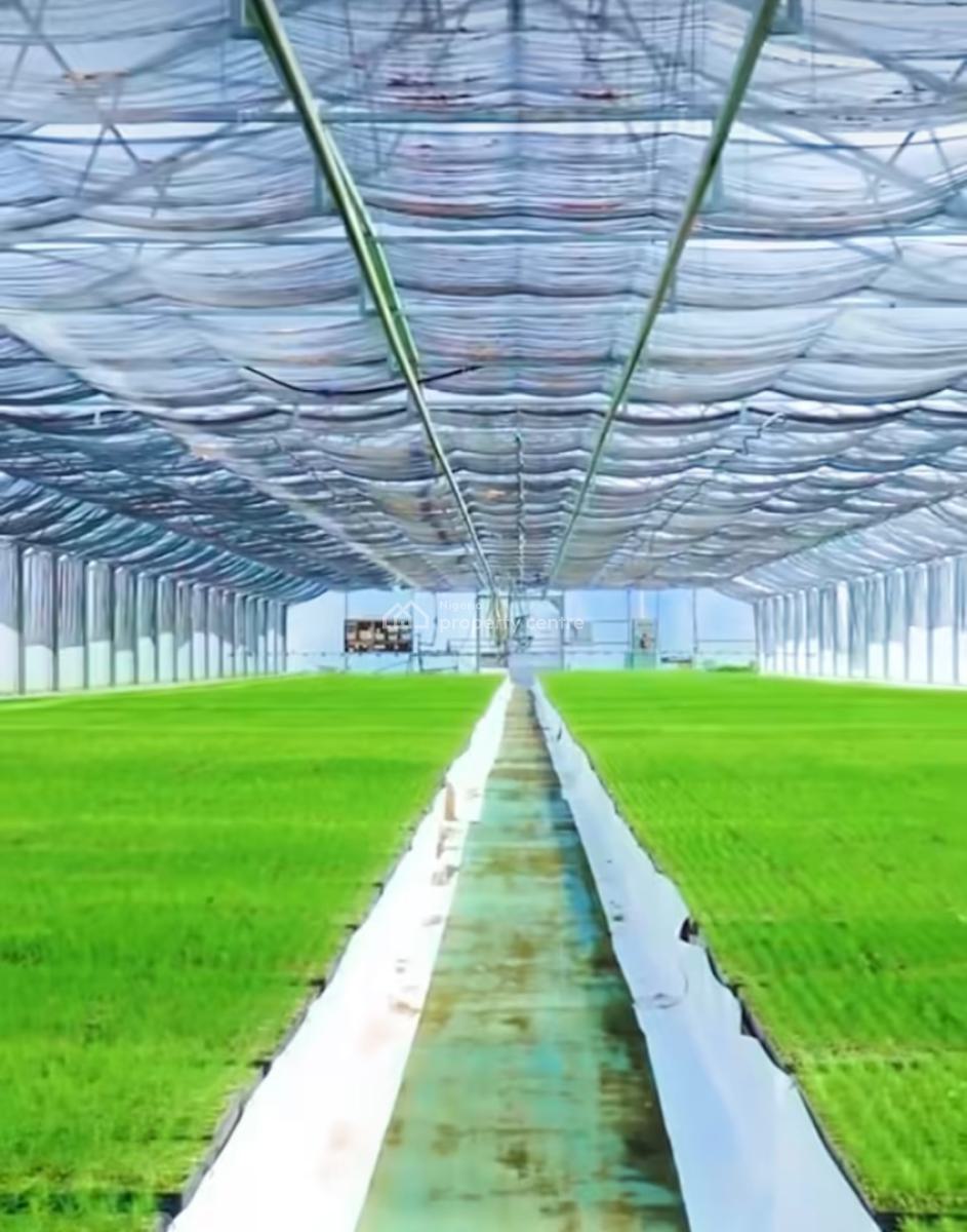 Farm Land, Ilewo-orile, Abeokuta North, Ogun, Mixed-use Land for Sale