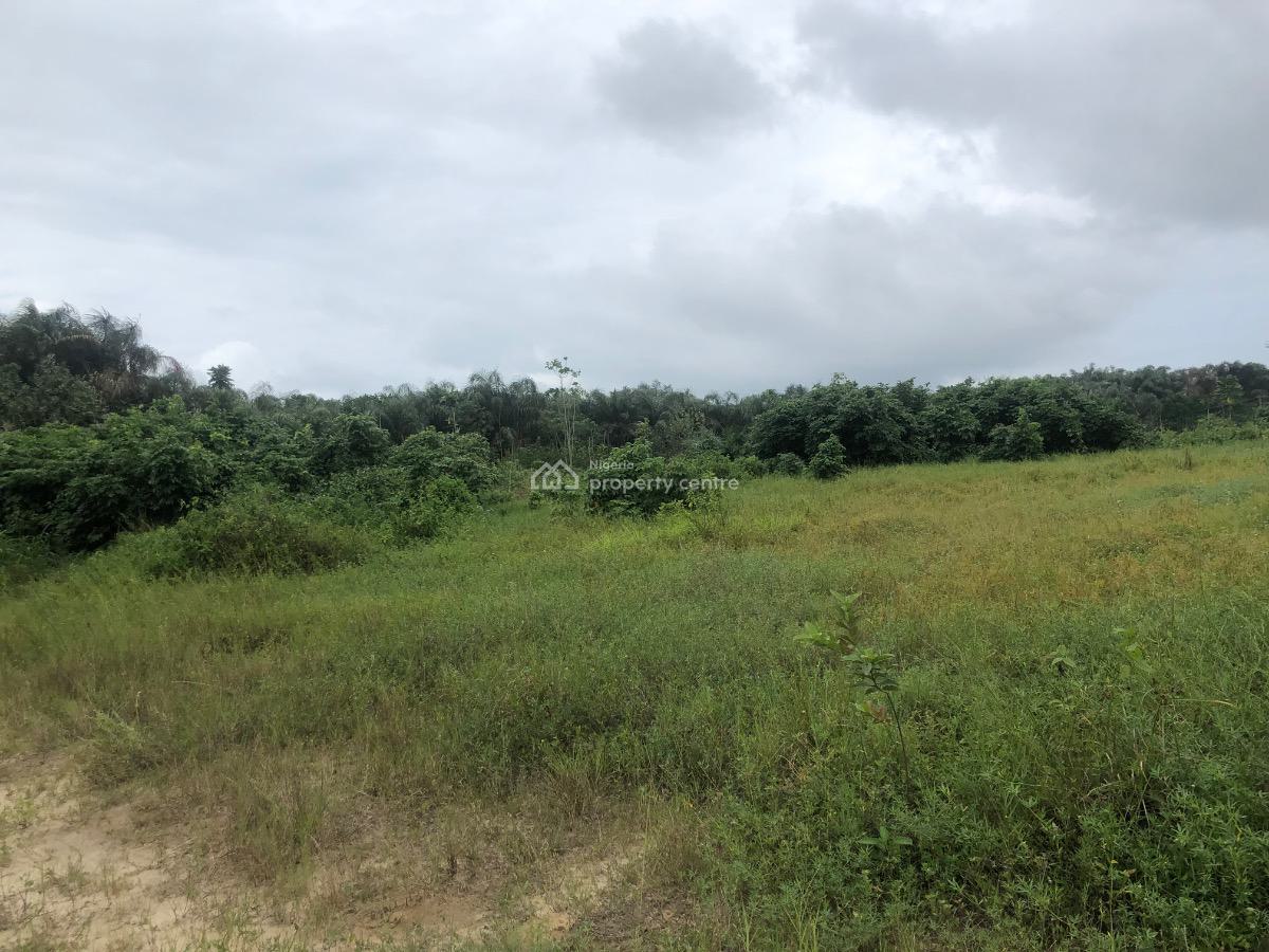 Serviced Residential Land with Governors Consent, Jordan Springs Estate, Lakowe, Ibeju Lekki, Lagos, Mixed-use Land for Sale