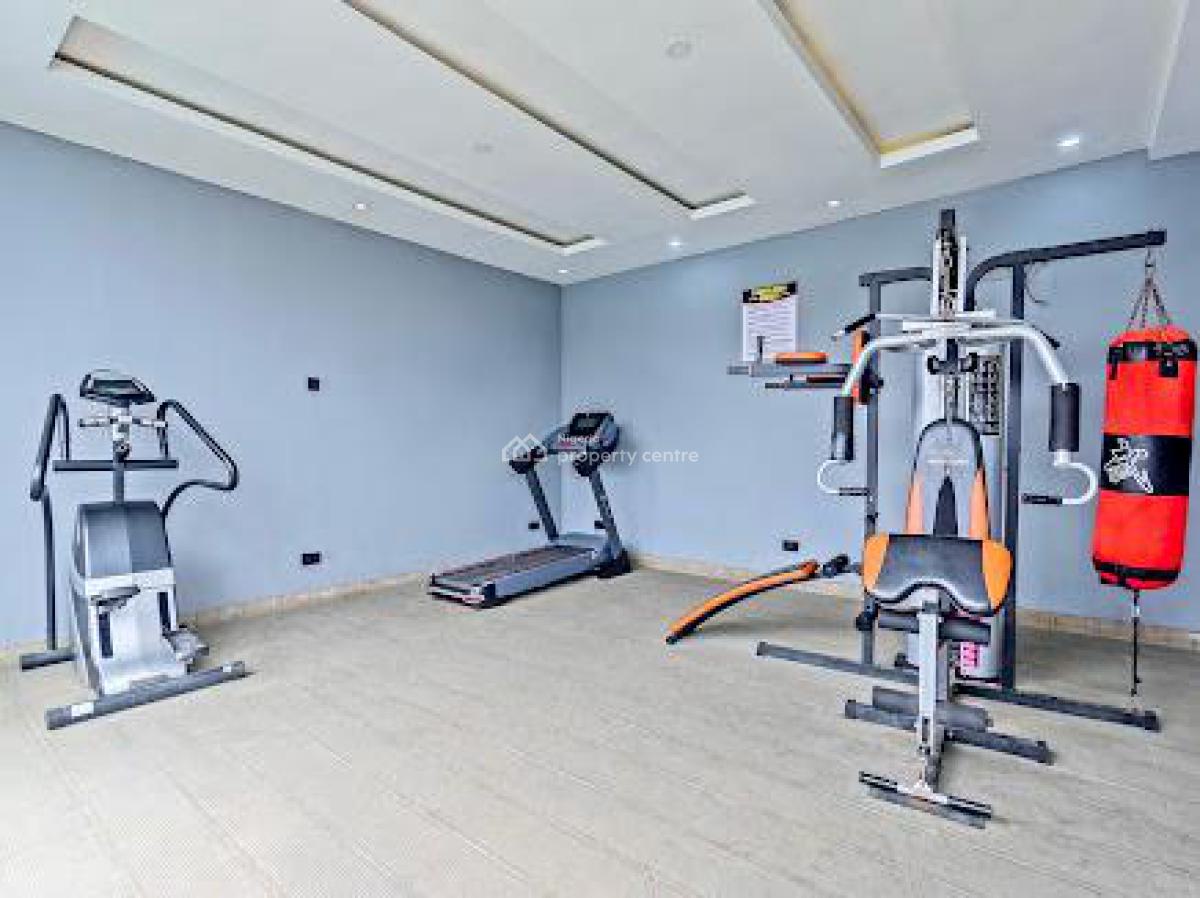 Fully Furnished Penthouse, Lekki Phase 1, Lekki, Lagos, Terraced Duplex for Rent