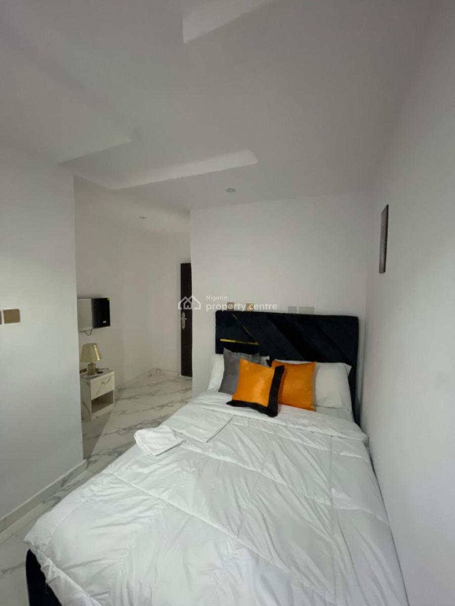 Luxury Two Bedroom Apartment, Olorunlogbon Street, Anthony, Maryland, Lagos, Flat / Apartment Short Let
