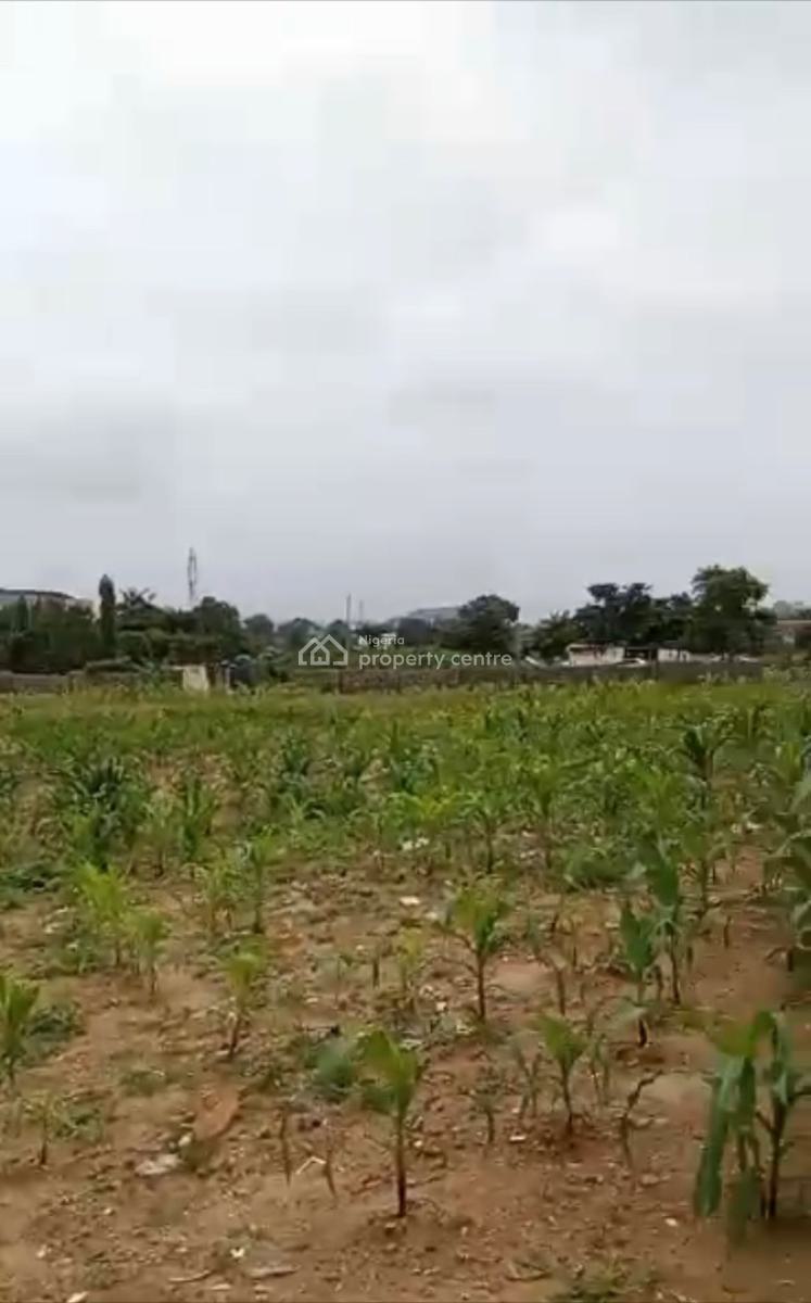 Land Measuring 8000sqm with C of O, Apo, Abuja, Commercial Land for Sale