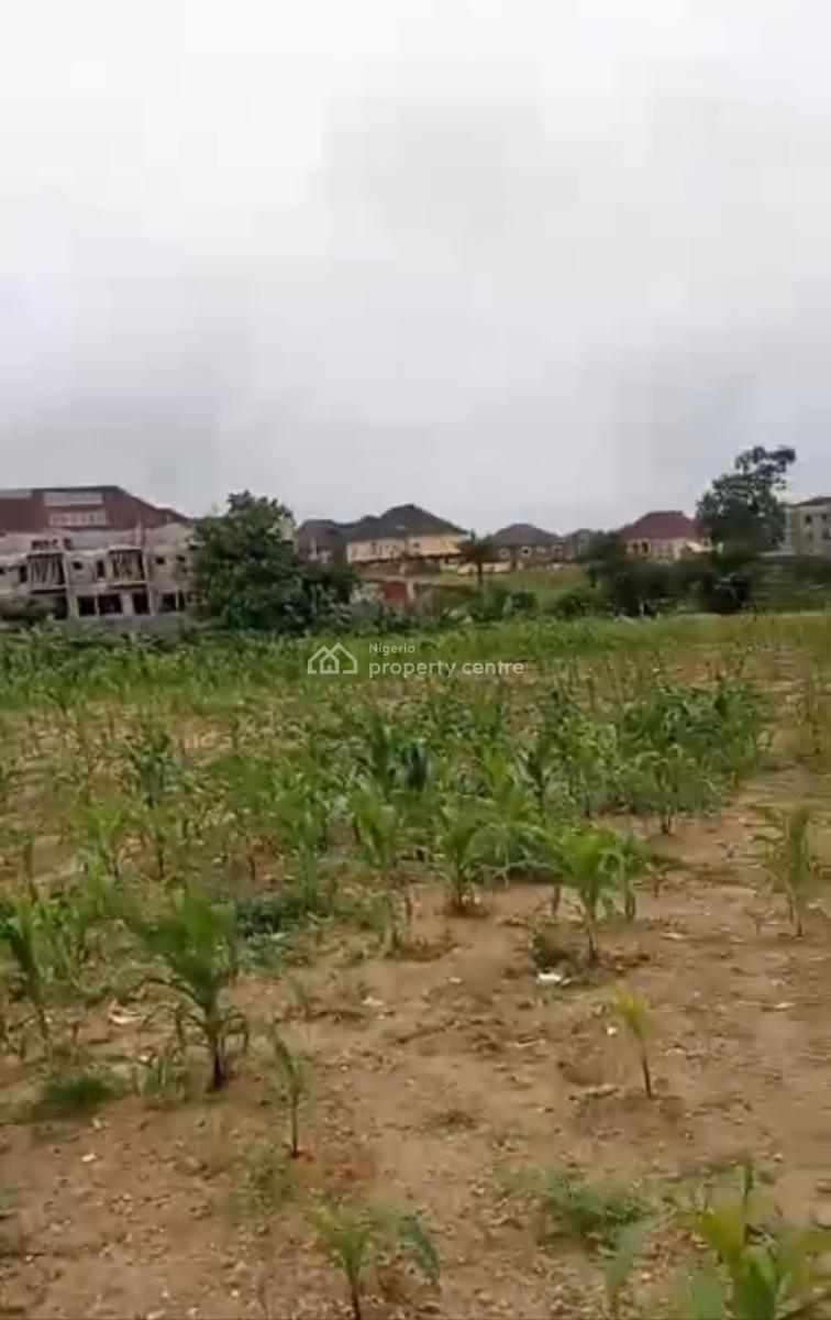 Land Measuring 8000sqm with C of O, Apo, Abuja, Commercial Land for Sale