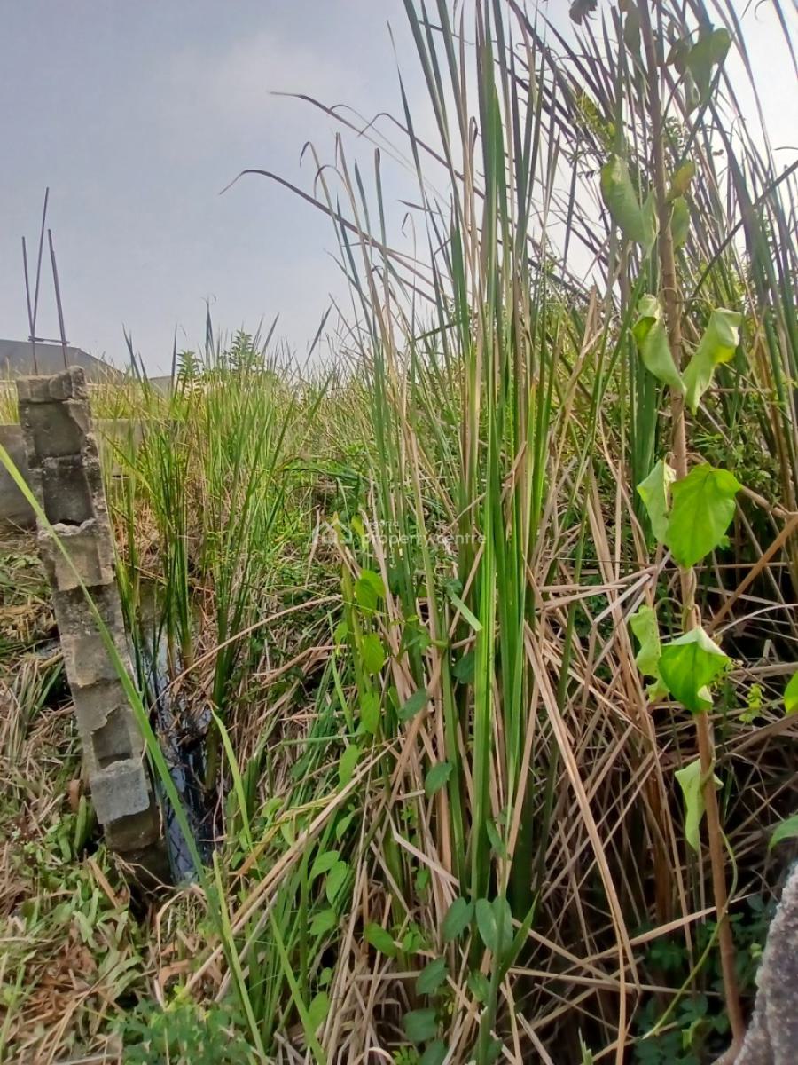 5 Bedroom Fully Detached Bungalow on Full Plot of Land, Badore, Ajah, Lagos, Detached Bungalow for Sale