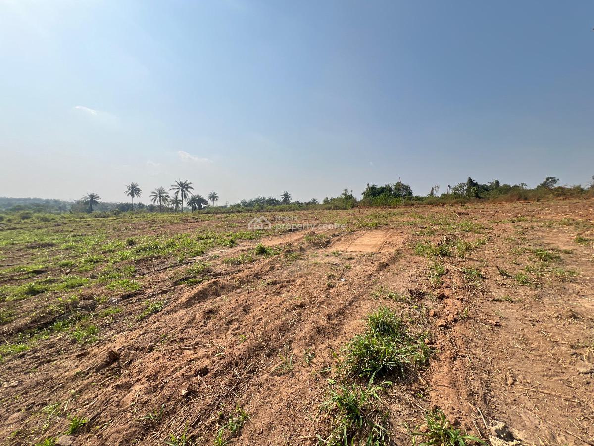 a Premium Residential Land Facing a Major Road Purely for Investment, Olodo, Odeda, Ogun, Residential Land for Sale