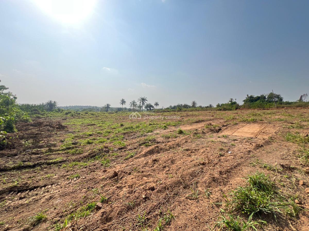a Premium Residential Land Facing a Major Road Purely for Investment, Olodo, Odeda, Ogun, Residential Land for Sale