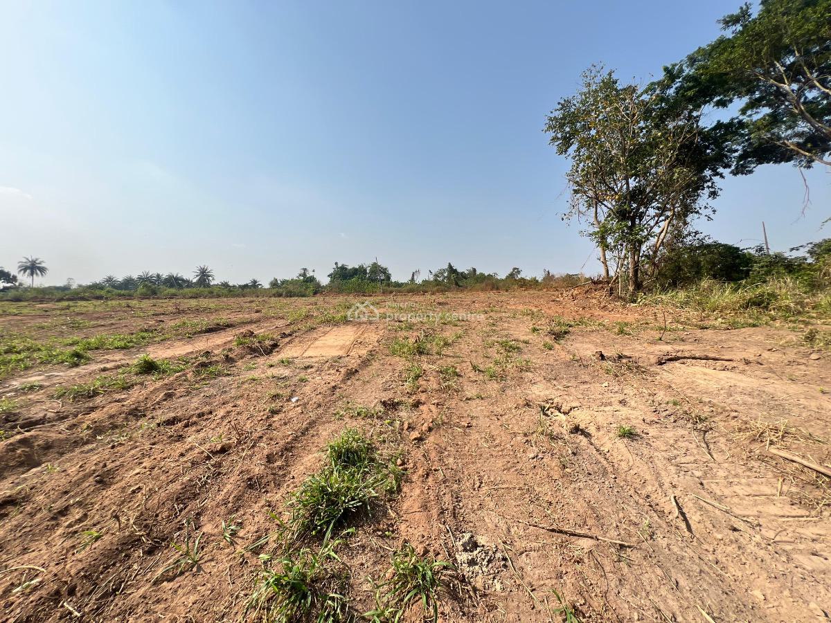 a Premium Residential Land Facing a Major Road Purely for Investment, Olodo, Odeda, Ogun, Residential Land for Sale