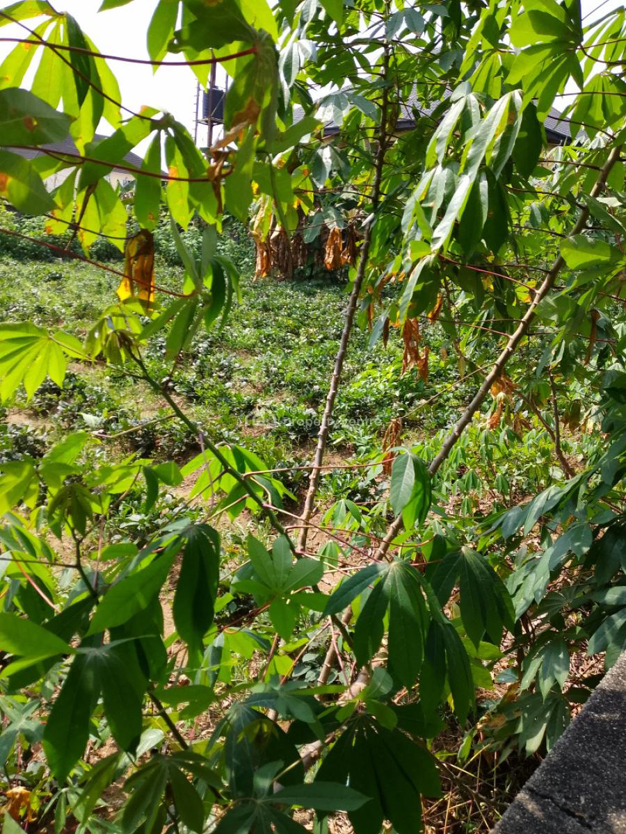 One and Half Plot of Land, Eneka Link Road/shell Cooperative, Port Harcourt, Rivers, Residential Land for Sale