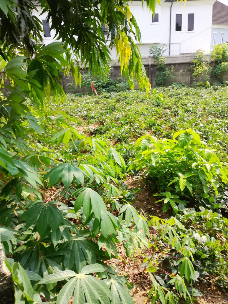 One and Half Plot of Land, Eneka Link Road/shell Cooperative, Port Harcourt, Rivers, Residential Land for Sale