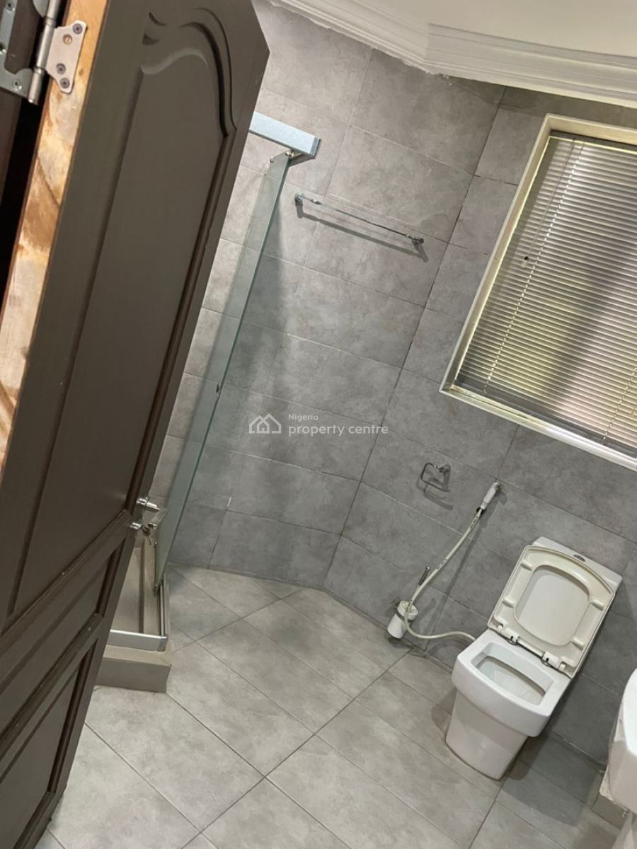 Fully Serviced & Furnished 2 Bedrooms Apartment,pool,gym,elevators, Jabi, Abuja, Flat / Apartment for Rent