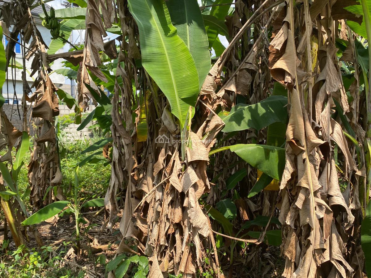 Well Located Plot of Residential Land, Eneka Link Road ( Shell Cooperative), Eneka, Port Harcourt, Rivers, Residential Land for Sale