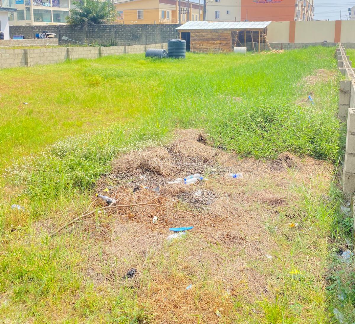 400sqm Dry Land, Buene Vista Estate, Orchid Road, Lekki, Lagos, Residential Land for Sale