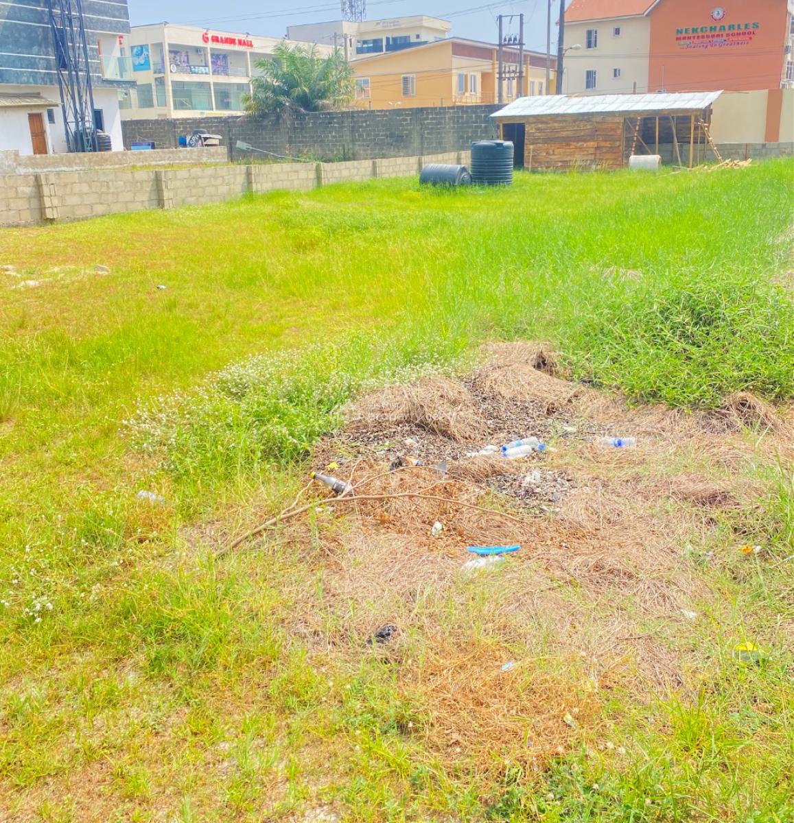 400sqm Dry Land, Buene Vista Estate, Orchid Road, Lekki, Lagos, Residential Land for Sale