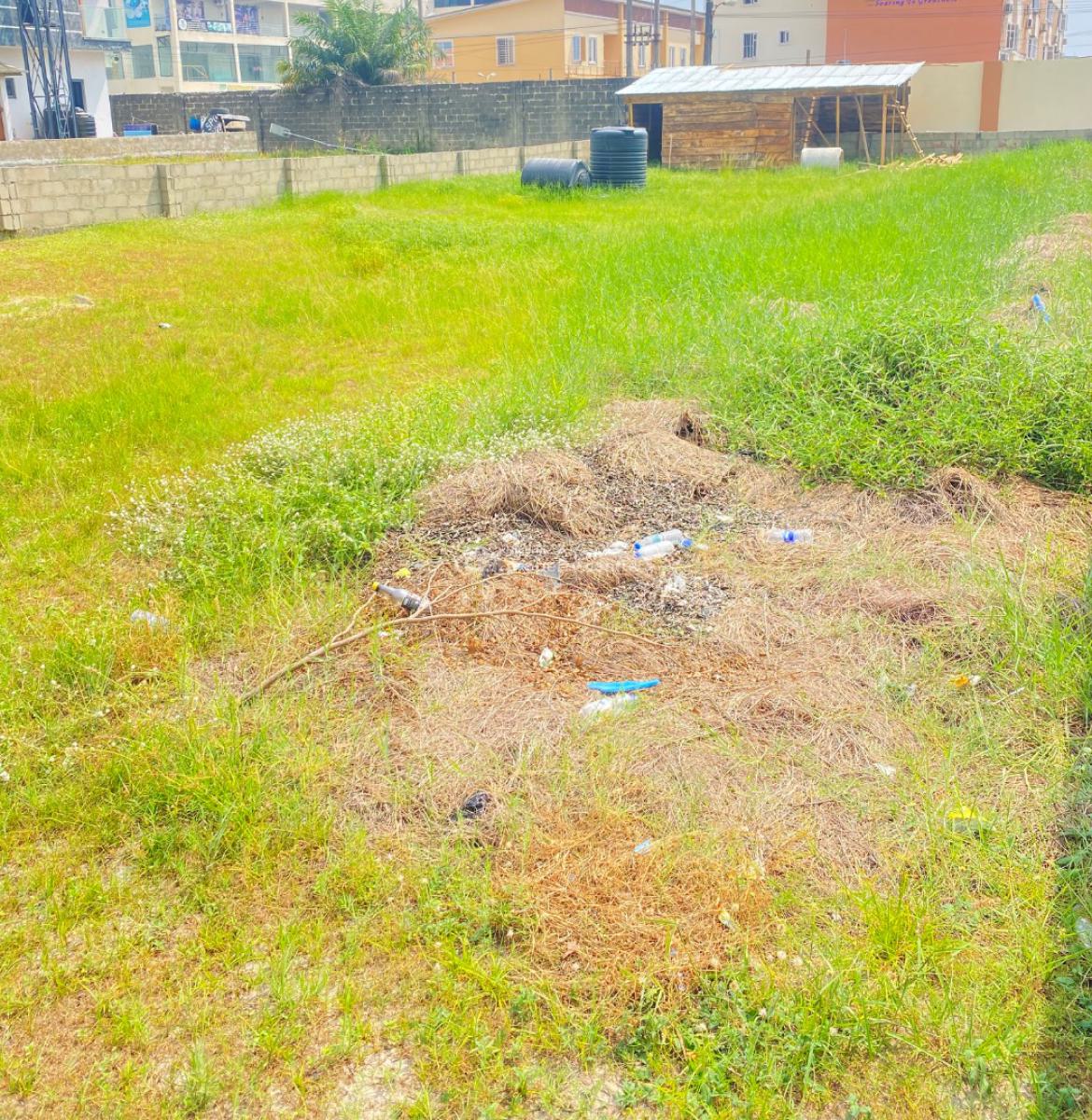 400sqm Dry Land, Buene Vista Estate, Orchid Road, Lekki, Lagos, Residential Land for Sale