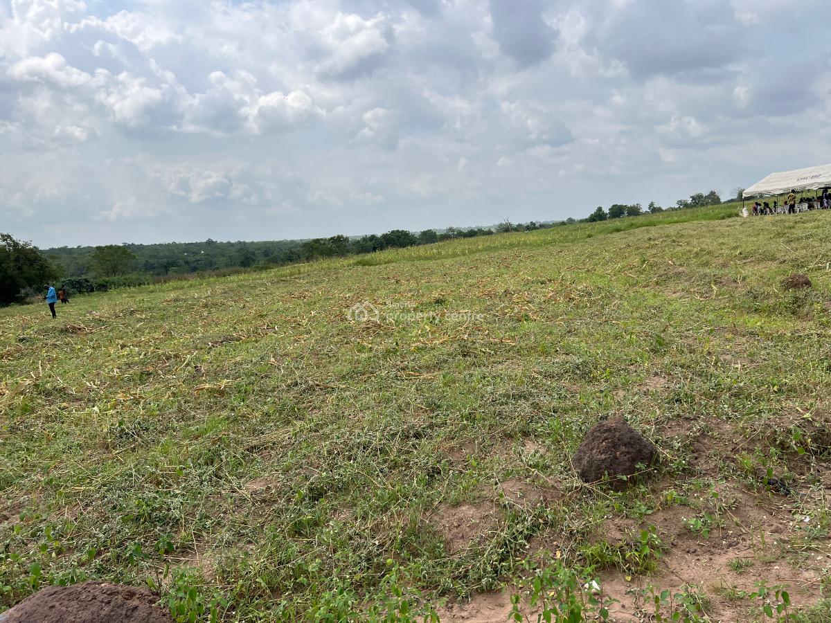 Make Money Yearly From Cocoa and Plaintain Farming, Abeokuta North, Ogun, Mixed-use Land for Sale