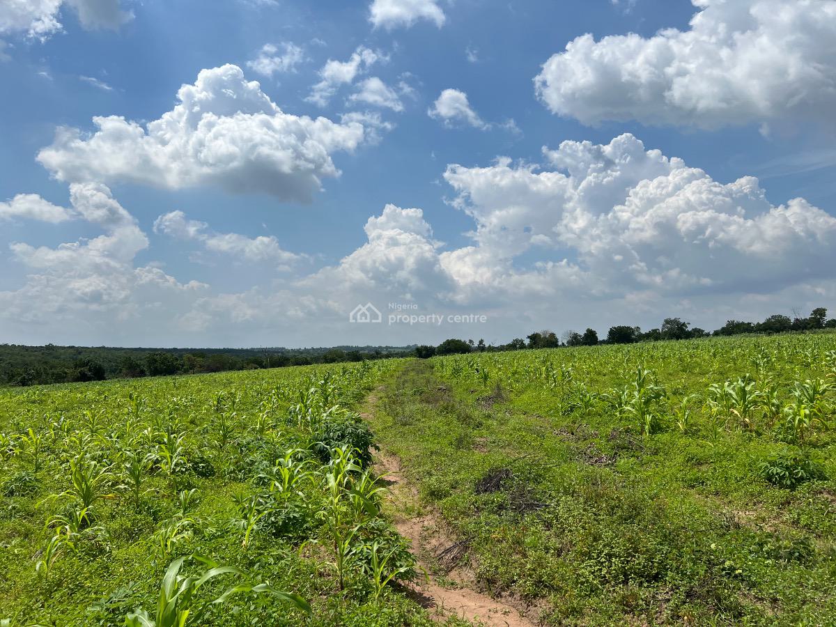 Make Money From Agriculture Without Getting Your Hands Dirty, Ofuape Village, Abeokuta North, Ogun, Mixed-use Land for Sale
