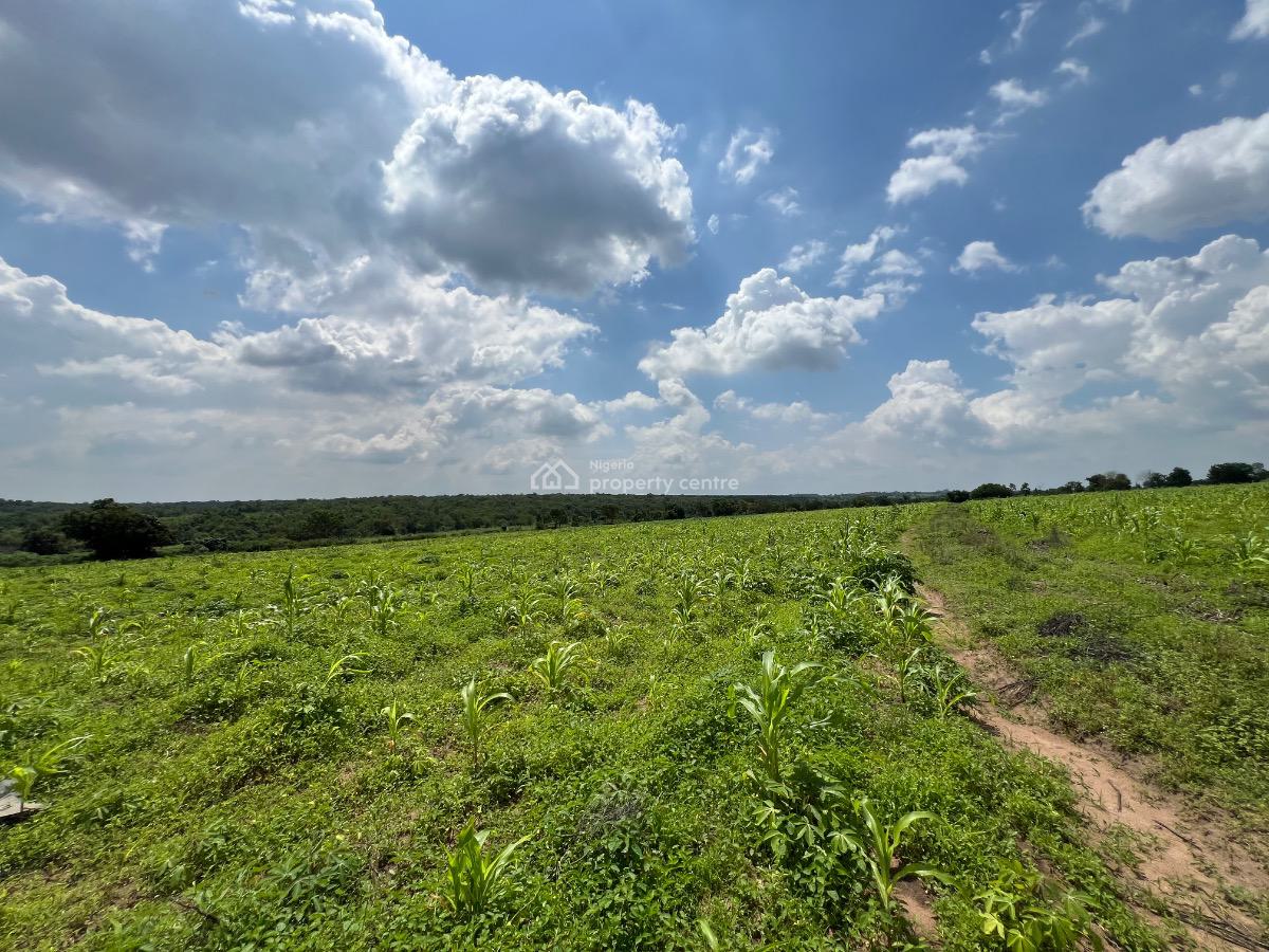 Make Money From Agriculture Without Getting Your Hands Dirty, Ofuape Village, Abeokuta North, Ogun, Mixed-use Land for Sale