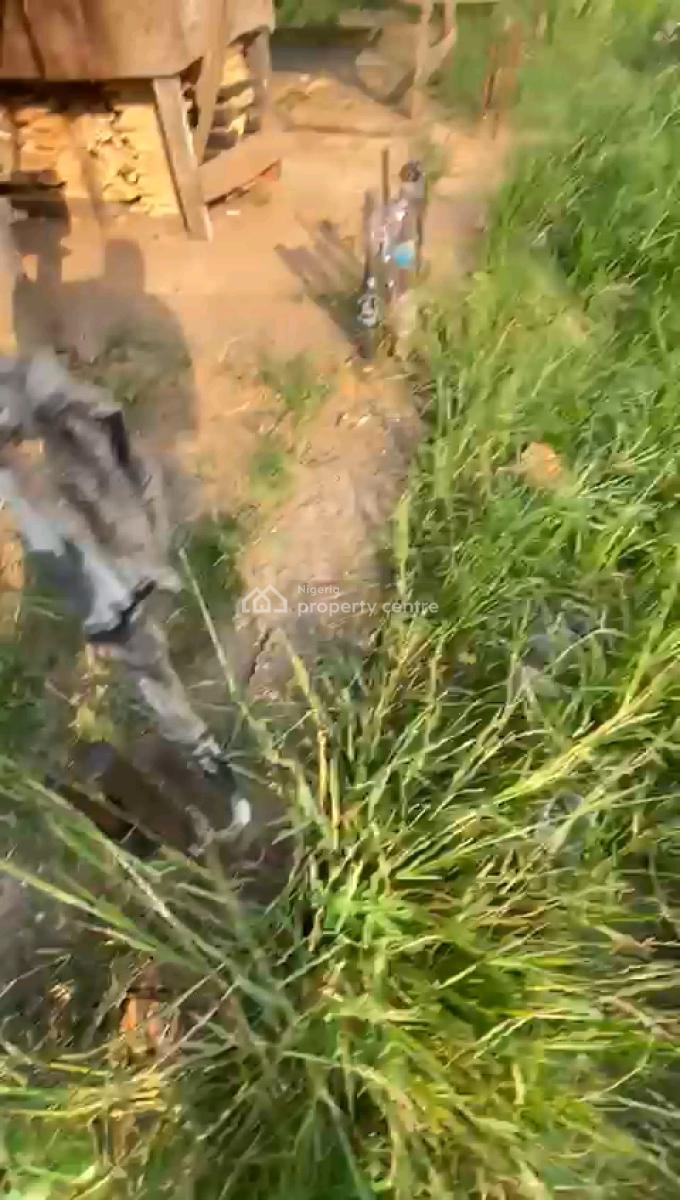 Land with Pilling Foundation of 37 Beats of 45 Feet Pillars, Bankole Street, Off Pedro Road, Shomolu, Lagos, Mixed-use Land for Sale