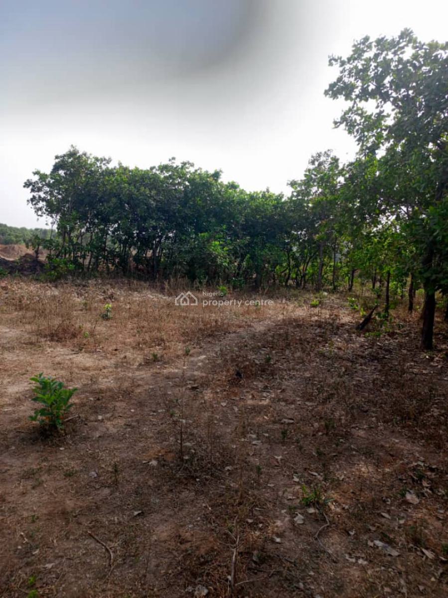 13.3 Hectares of Multipurpose Land, Karsana West (behind Tinubu Renewed Hope Estate), Karsana, Abuja, Mixed-use Land for Sale