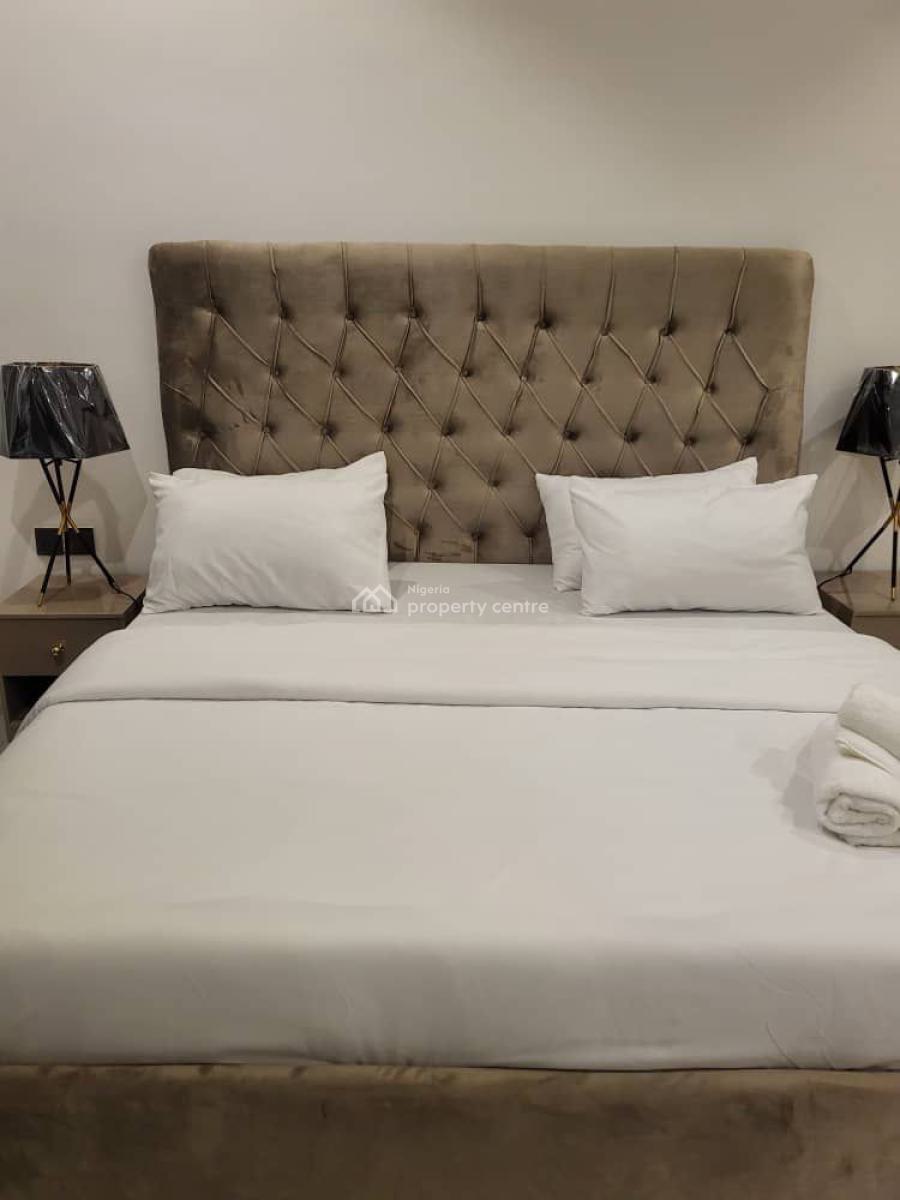 Luxurious Fully Furnished 2 Bedroom Apartment with Pool, Lekki Phase 1, Lekki, Lagos, Flat / Apartment for Rent