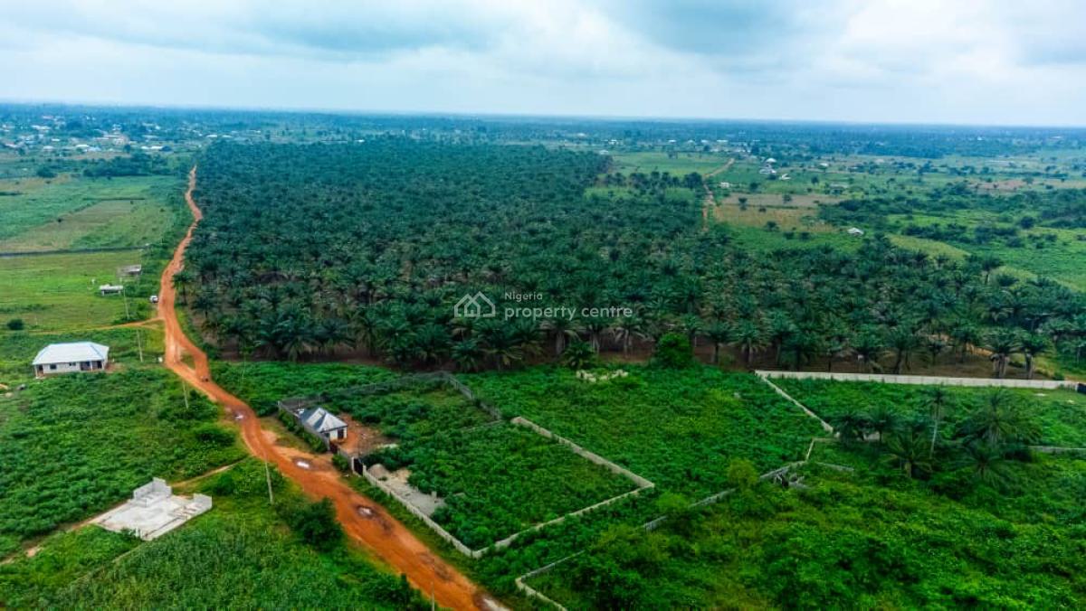 82 Acres of Land with Over 500+ Oil Palm Plantation, Agbara, Ado-odo/ota, Ogun, Mixed-use Land for Sale